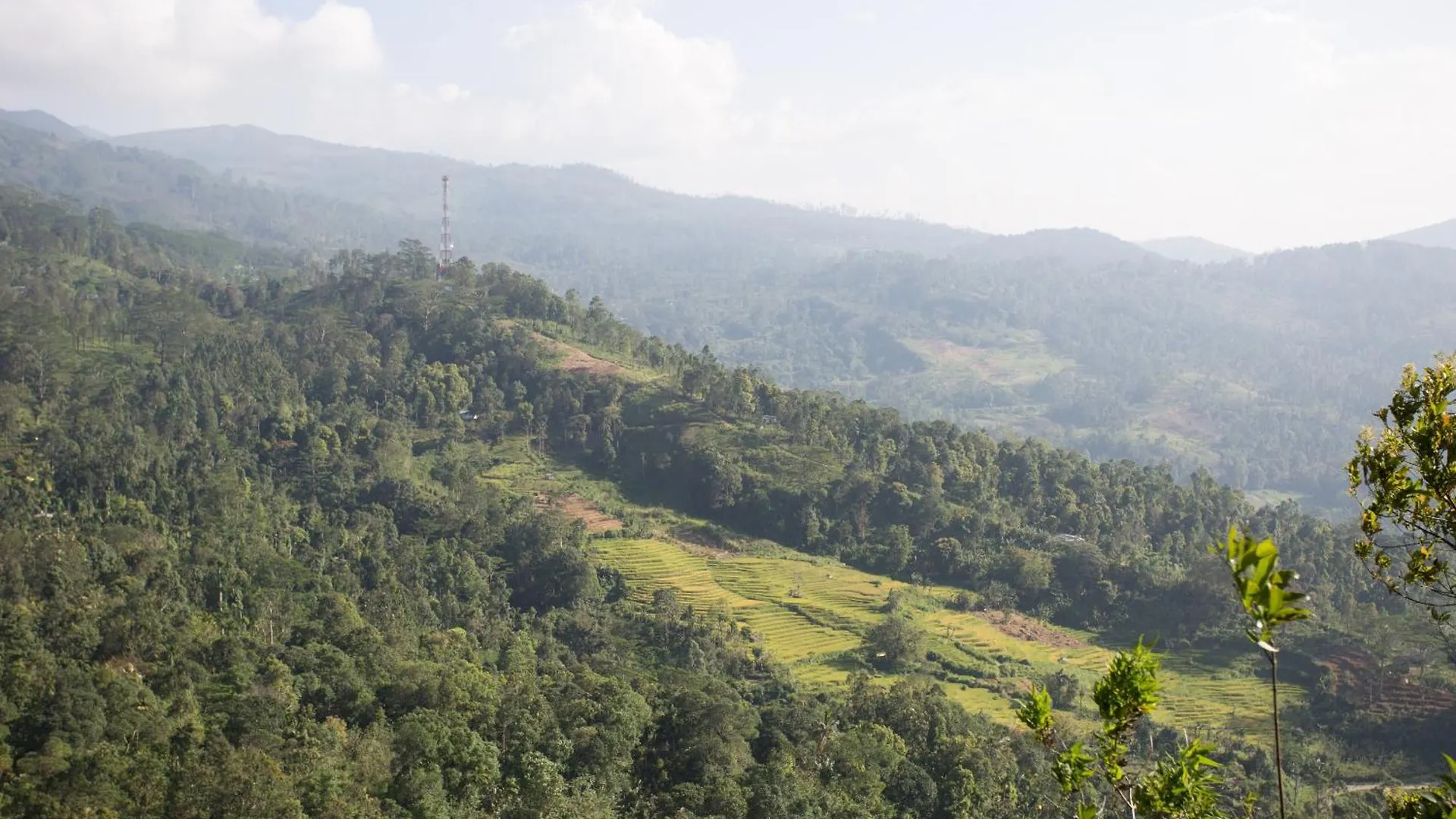 Bed & Breakfast Rockbourne Bungalow Kandy Sri Lanka